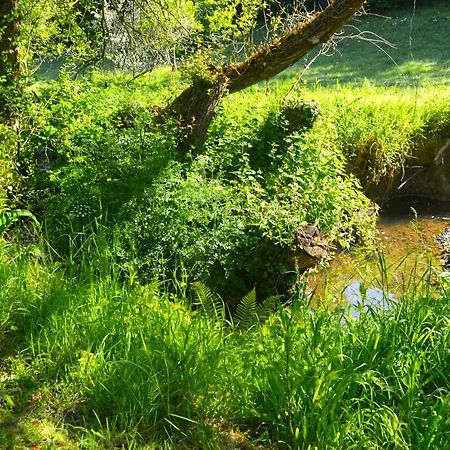 Le Domaine Du Pont Canon Plourivo 外观 照片