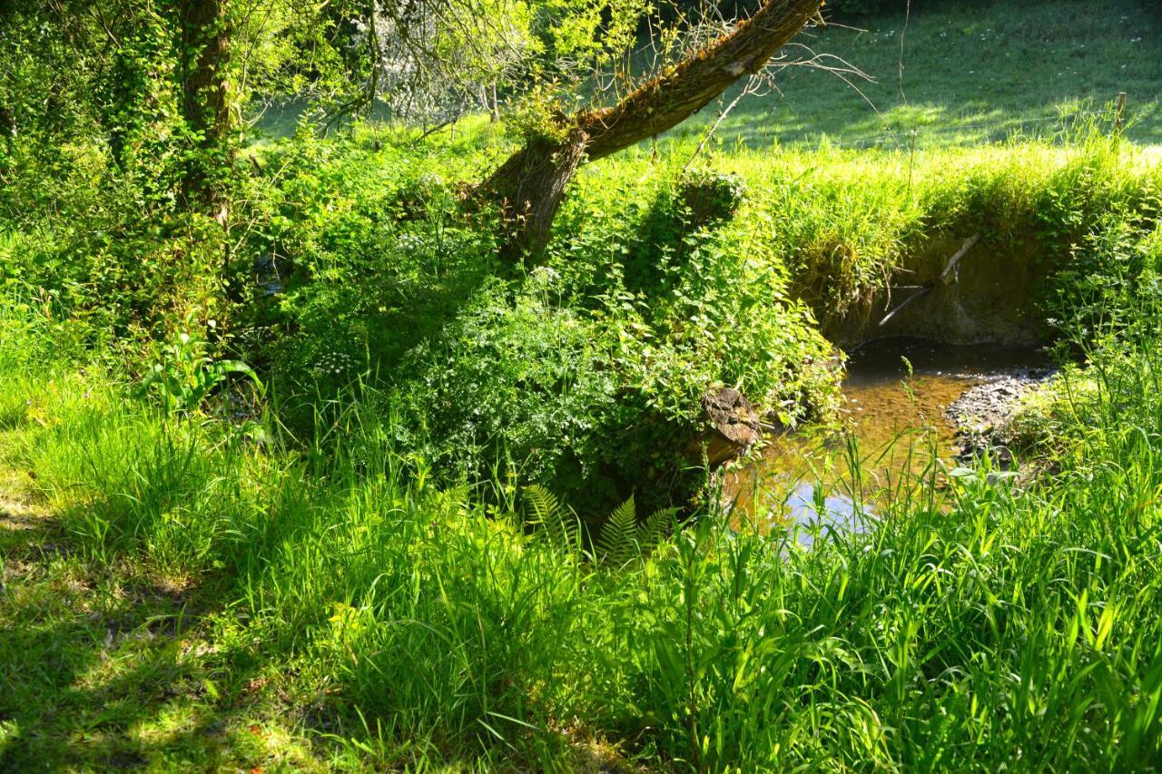 Le Domaine Du Pont Canon Plourivo 外观 照片
