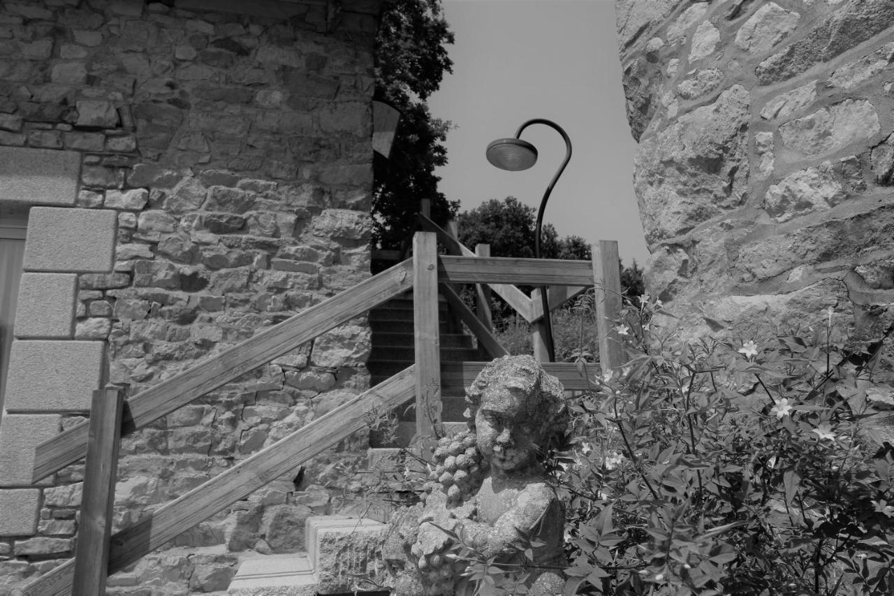 Le Domaine Du Pont Canon Plourivo 外观 照片